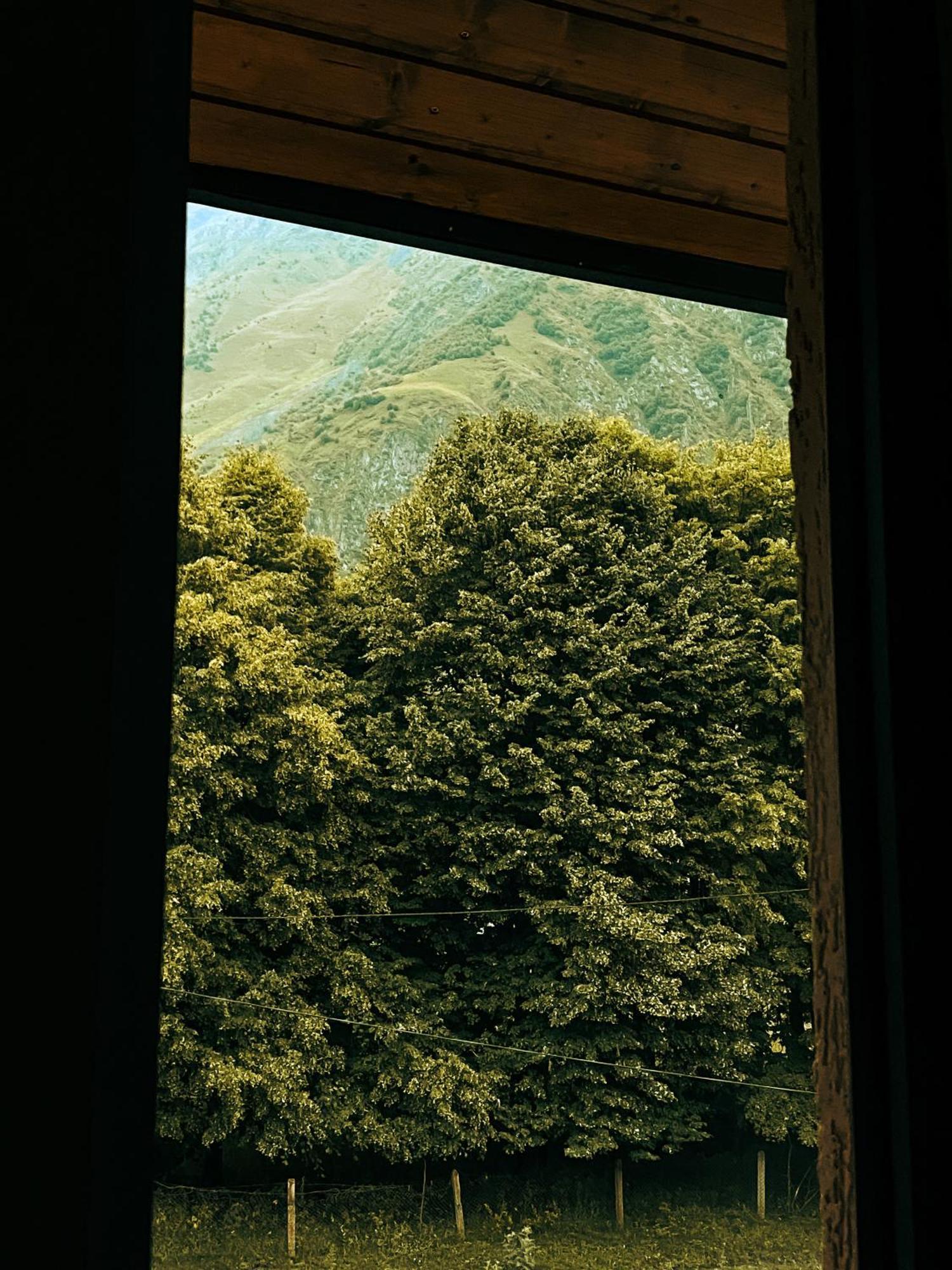 Hotel Gold Kazbegi Екстер'єр фото